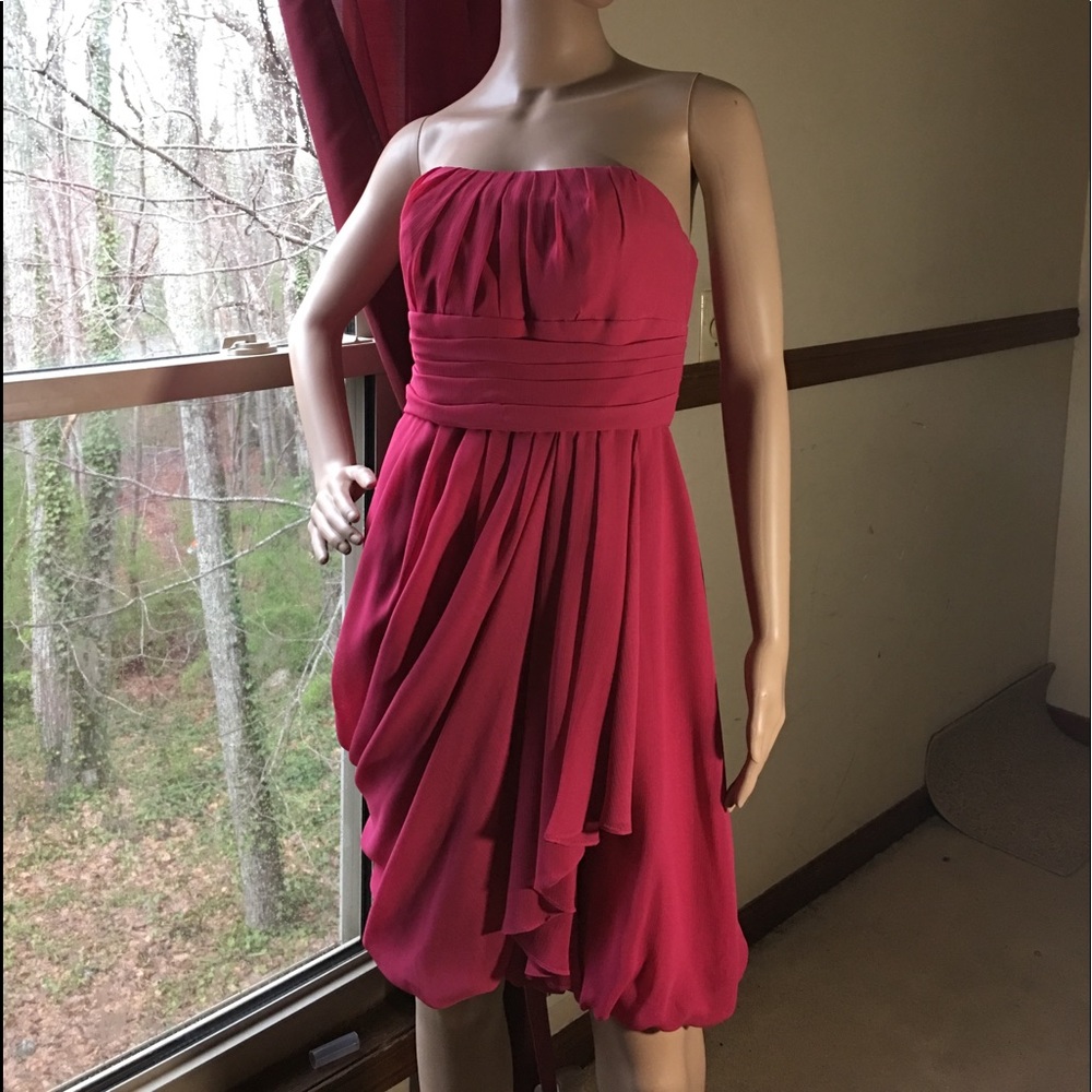 David’s Bridal Bridesmaid  Strapless /Tube Dress